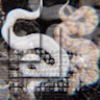 nattyk1616